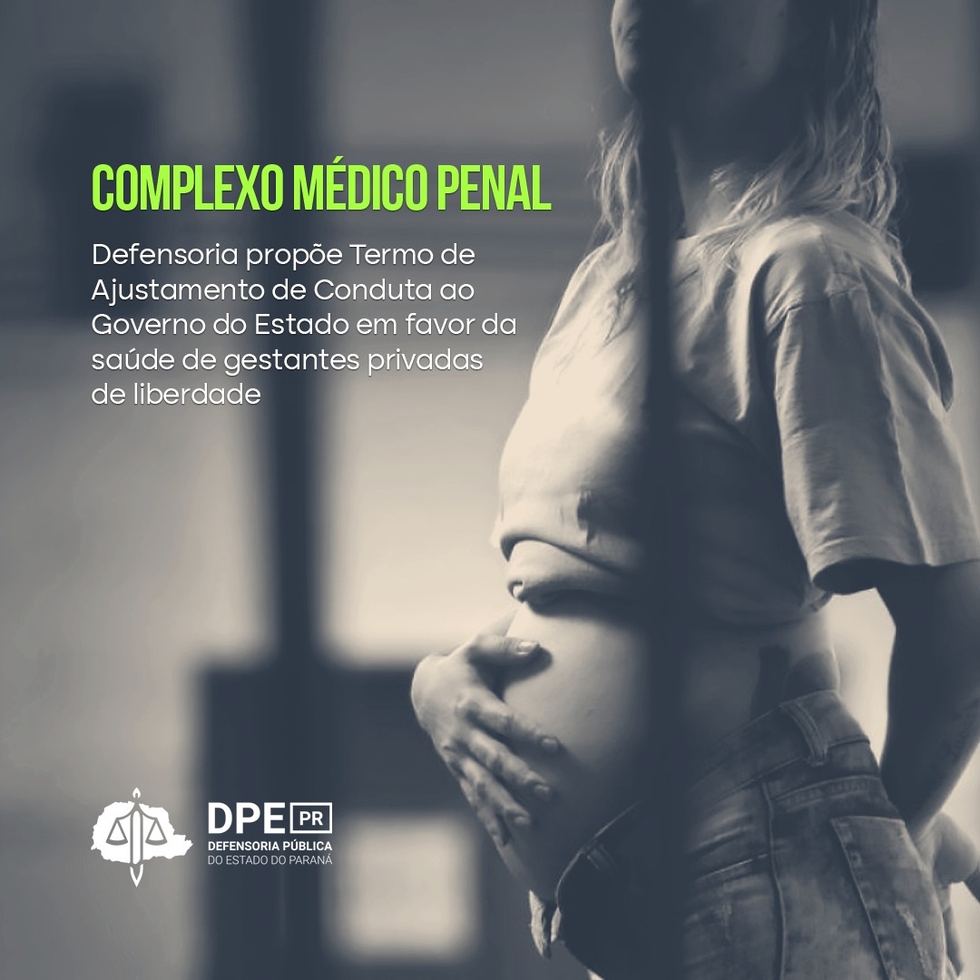 Mulher grávida em situação de privação de liberdade