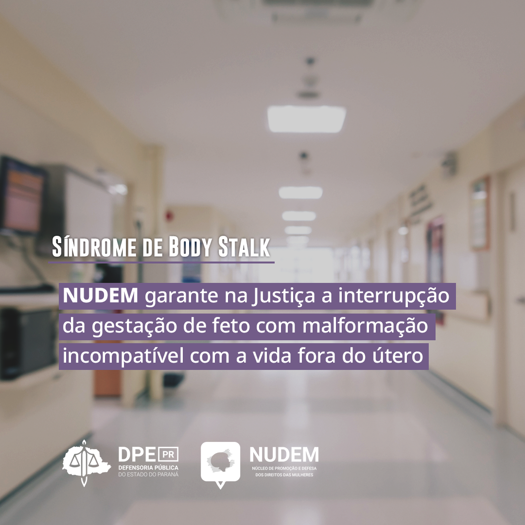 NUDEM garante na Justiça a interrupção da gestação de feto com malformação incompatível com a vida fora do útero