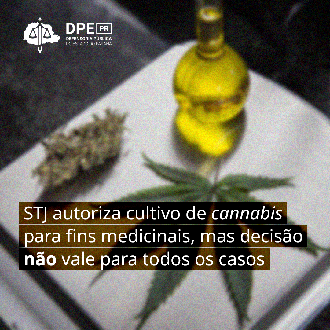 STJ autoriza cultivo de cannabis para fins medicinais, mas decisão não vale para todos os casos