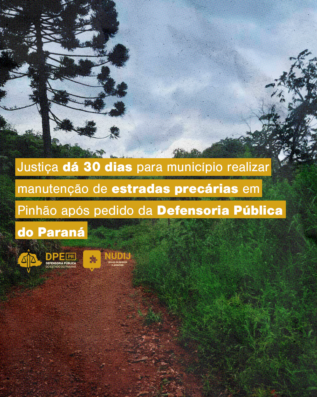 A imagem mostra um caminho de terra em uma área rural do Paraná, cercada por mato alto, em que ao fundo se vê uma araucária. No título está escrito:
