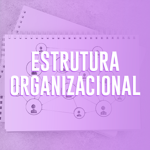 Imagem com alguns cadernos com desenhos de fluxos de equipe. A imagem tem um gradiente em lilás. Ao centro, o nome do botão, "Estrutura organizacional".