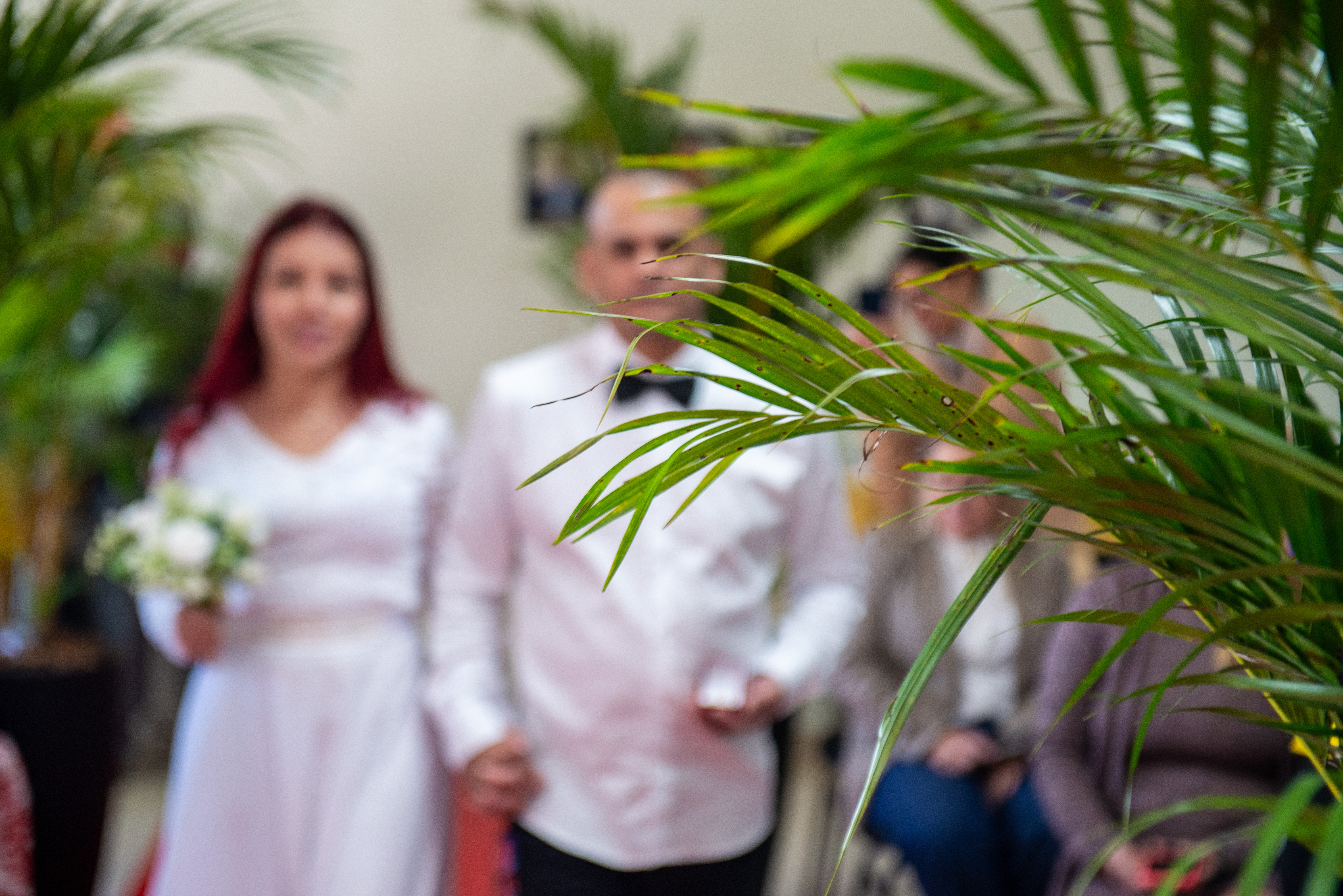 Casal desfocado caminha em tapete vermelho em cerimônia de casamento. No primeiro plano aparece a folhagem da decoração.