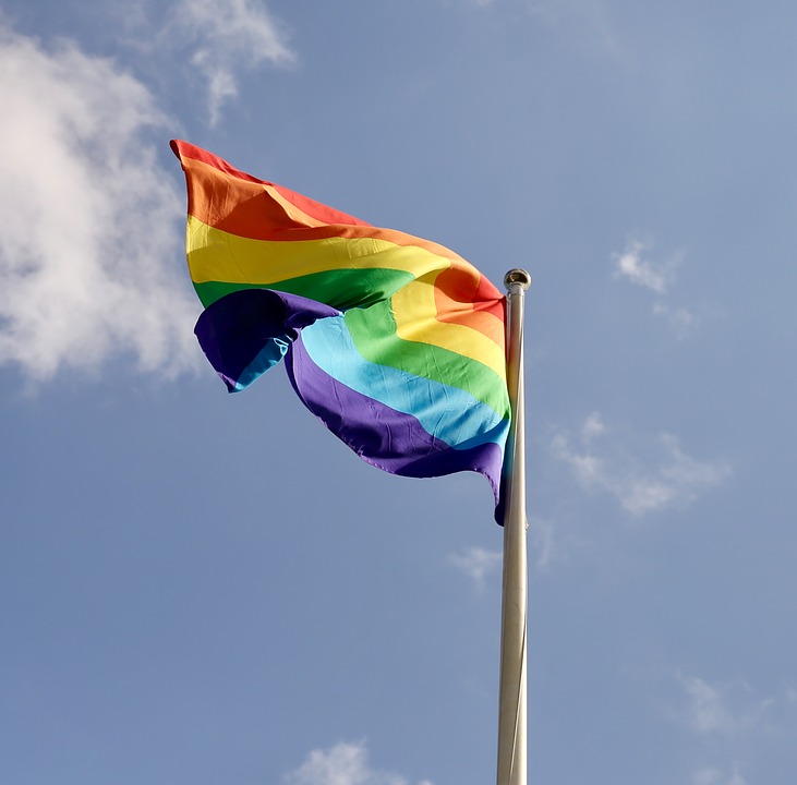 A despatologização da transexualidade.