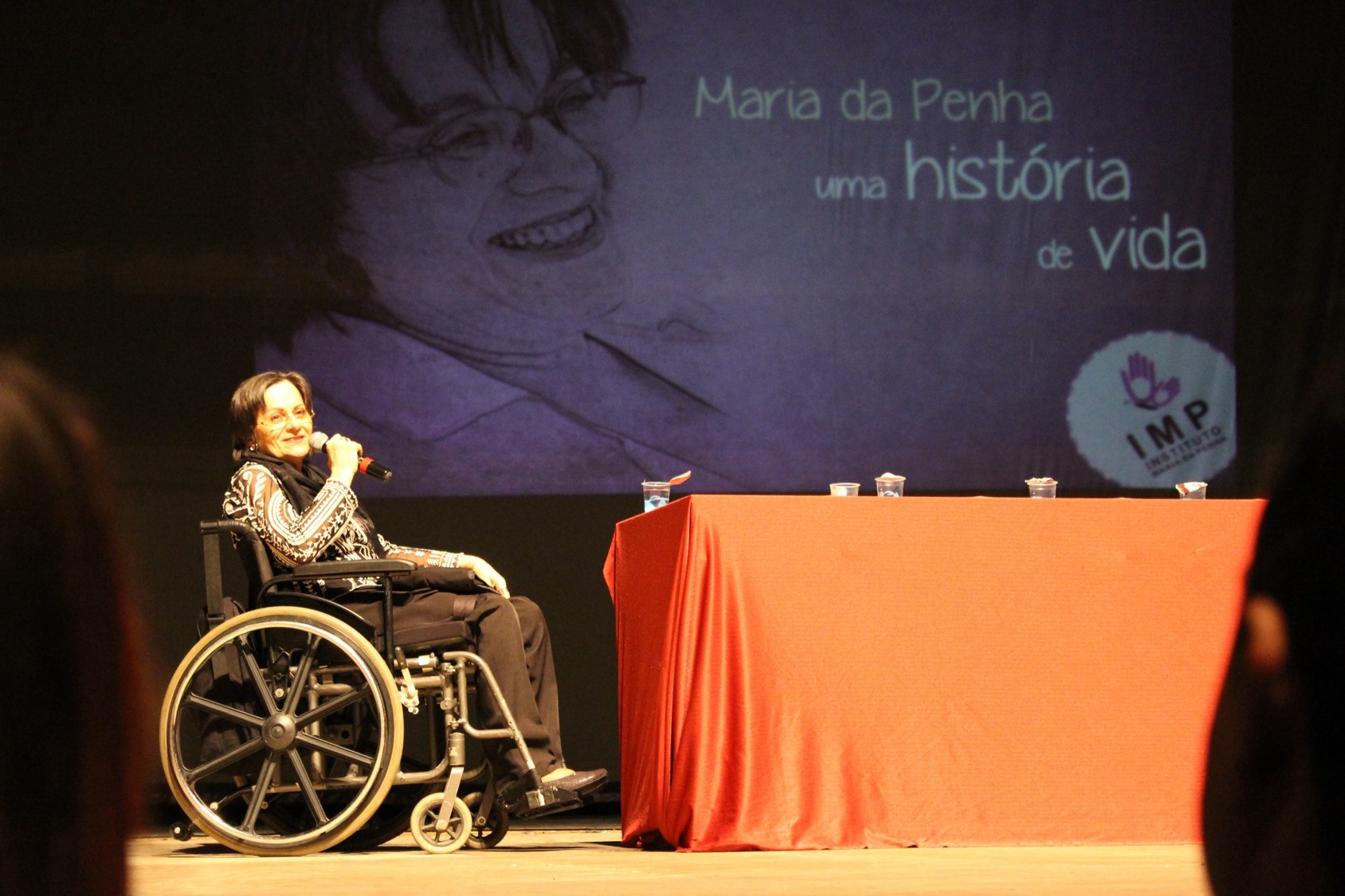 12 anos da lei maria da penha