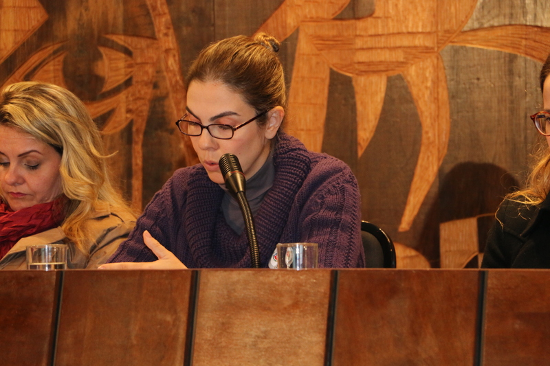 Coordenadora do NUDEM participa de audiência pública sobre violência obstétrica e direitos das gestantes