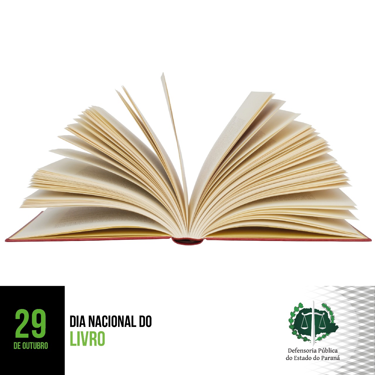 29 de Outubro: Dia Nacional do Livro.