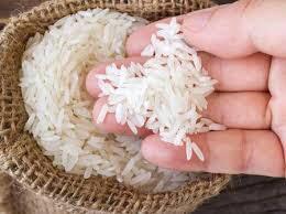 DPE-PR apoia campanha de arrecadação de arroz realizada pelo MPT-PR