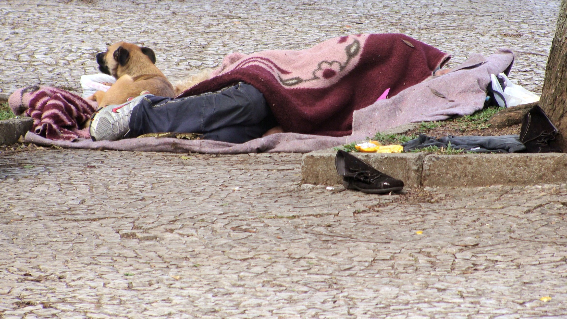 São crianças, adolescentes, jovens, idosos, homens, mulheres, deficientes, pessoas com problemas de drogadição ou não, formadas, analfabetas. Enfim, uma diversidade de pessoas com motivos diversos para estarem ali.