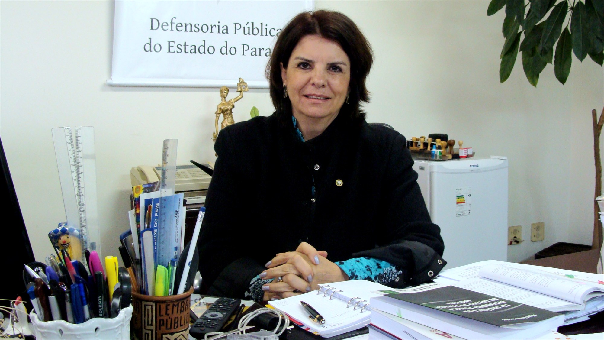 Josiane Fruet Bettini Lupion, que fez carreira atuando na área de Família, foi defensora pública-geral do estado entre 2011 e 2015.