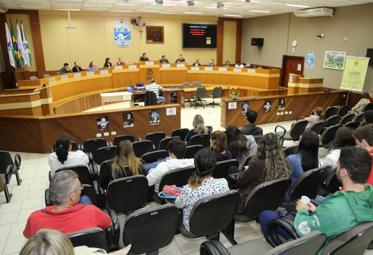 A audiência pública foi organizada pela Rede Proteger e pelo Conselho Tutelar e contou com a participação de autoridades locais e da sociedade civil de Foz do Iguaçu.