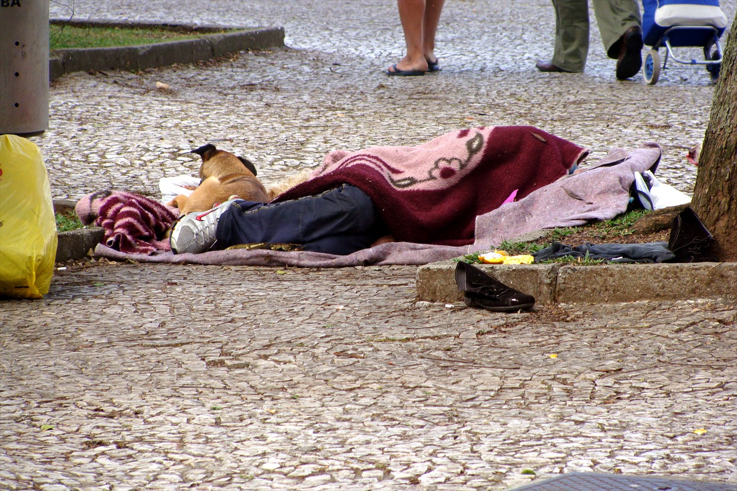 Segundo dados do IBGE (2012), cerca de 1,8 milhão de pessoas vivem nas ruas das cidades brasileiras – representando até 1% da população do país.