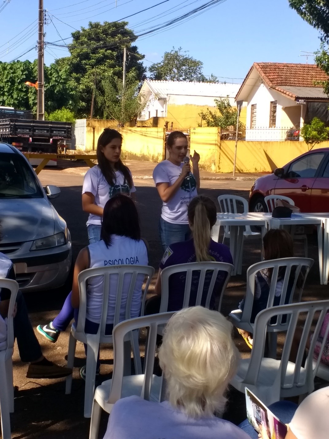 Raquel Rodrigues Alegre Pagliarini e Tânia Cordeiro Aldivino.