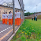 Defensoria Pública do Paraná promove “Ciclo de Conversas no Cárcere” em unidades prisionais da região metropolitana de Curitiba