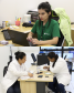 A primeira imagem mostra uma servidora da Defensoria ao computador. A segunda imagem mostra duas mulheres a uma mesa, preenchendo documentos