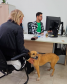 Imagem que mostra uma pessoa sendo atendida no mutirão. Ela está sentada em uma cadeira e acaricia um cachorro caramelo enquanto um atendente da DPE-PR consulta o computador.