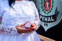 Imagem que mostra uma noiva com um vestido branco com aplicações de renda. Ela segura uma pequena caixa vermelha com duas alianças. Ao fundo é possível ver o brasão do DEPEN em uma parede.