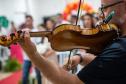 Imagem mostra um violino em primeiro plano e os noivos e noivas ao fundo desfocados.