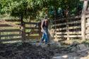 Agricultor passa por cerca de madeira para acessar área das criações.  