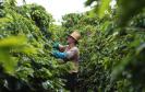A audiência pública tem a finalidade de promover uma ação coletiva de usucapião rural para beneficiar 94 produtores locais com a titulação de propriedade das terras que atualmente ocupam.