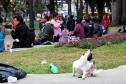 Evento na Praça Rui Barbosa, no Centro de Curitiba, reuniu a população em situação de rua.