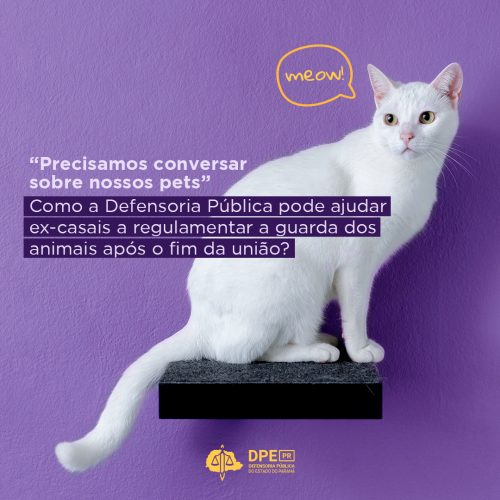 Imagem com fundo na cor roxa e, ao centro, um gato branco. Sobreposto ao animal, o título "'Precisamos conversar sobre nossos pets': Como a Defensoria Pública pode ajudar ex-casais a regulamentar a guarda dos animais após o fim da união?"