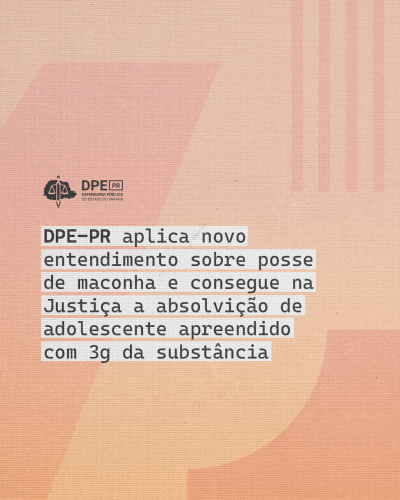 Imagem com arte gráfica com título e logo da DPE-PR.