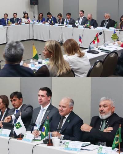 Imagem com fotos da reunião extraordinária do Condege, em Brasília.