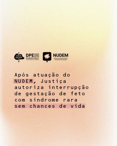 Imagem com arte gráfica, em tons de rosa e salmão, com título e logos da DPE-PR e do NUDEM.