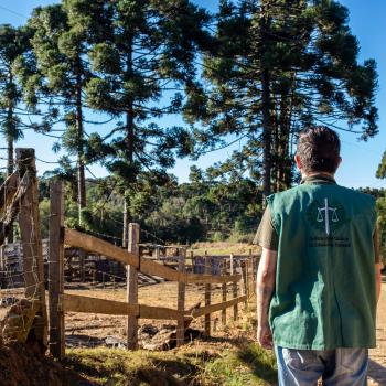 Imagem de uma pessoa vista de costas caminhando por uma estrada de terra, vestindo um colete verde com a logo da Defensoria Pública do Estado do Paraná. Ela observa uma paisagem rural com uma cerca de madeira rústica à esquerda e altas araucárias ao fundo sob um céu azul.