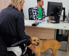 Imagem que mostra uma pessoa sendo atendida no mutirão. Ela está sentada em uma cadeira e acaricia um cachorro caramelo enquanto um atendente da DPE-PR consulta o computador.