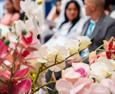 Imagem que mostra, em primeiro plano, flores de um dos arranjos da cerimônia. São orquídeas em tons de branco, rosa e vermelho. Ao fundo é possível ver um casal, de forma borrada.