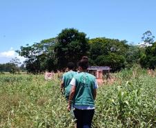 Imagem horizontal colorida em que se vê a equipe da DPE-PR se deslocando a pé na aldeia. 