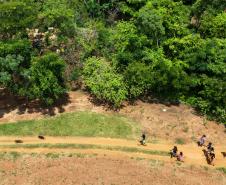 Imagem aérea mostra 10 pessoas e dois cães caminhando por uma estrada de terra ao lado de uma mata de árvores. 