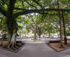 Vista parcial da Praça Tirandentes, onde podem ser vistas as árvores do local.  