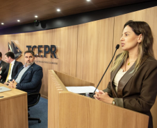 Coordenadora do Nucrise fala na abertura do evento.