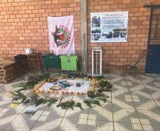 NUCIDH e NUPOVOS realizam seminários no interior do estado para discutir os acordos comunitários dos faxinalenses.