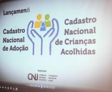 NUDIJ participa de curso formativo para acesso ao novo Cadastro Nacional de Adoção
