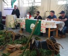 Mesa dos formadores ao fundo, na frente vegetações e símbolos faxinalenses. 