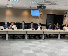 Reunião com todos os representantes institucionais da Força-Tarefa Infância Segura.