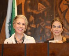 NUDEM participa de audiência pública  “Violência contra a Mulher: conquistas e desafios”
