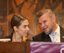 NUDEM participa de audiência pública  “Violência contra a Mulher: conquistas e desafios”
