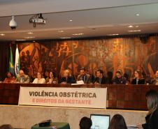 Coordenadora do NUDEM participa de audiência pública sobre violência obstétrica e direitos das gestantes