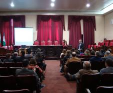 Na reunião com a Secretaria de Direitos Humanos da Presidência da República, a defensora pública Camille Vieira da Costa representou a DPPR e apresentou o plano de atuação proposto pela instituição.