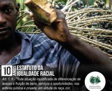 O dispositivo legal é considerado um marco importante na busca pela igualdade racial no país