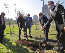 Rolê ambiental