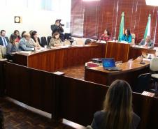 Comissão de Defesa dos Direitos da Mulher