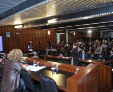 DPPR participa de seminário sobre os 7 anos da Lei Maria da Penha.