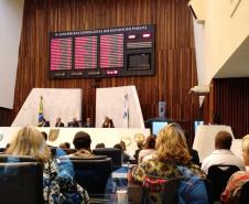 Além das palestras pela manhã na Alep, os novos defensores públicos tiveram atividades práticas na parte da tarde em fóruns e outros órgãos judiciais na cidade.