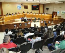 A audiência pública foi organizada pela Rede Proteger e pelo Conselho Tutelar e contou com a participação de autoridades locais e da sociedade civil de Foz do Iguaçu.