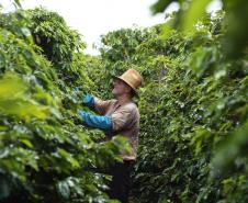 A audiência pública tem a finalidade de promover uma ação coletiva de usucapião rural para beneficiar 94 produtores locais com a titulação de propriedade das terras que atualmente ocupam.